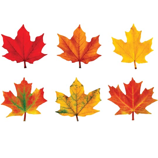 Maple Leaves Classic Accents&#xAE; Variety Pack, 36 Per Pack, 6 Packs